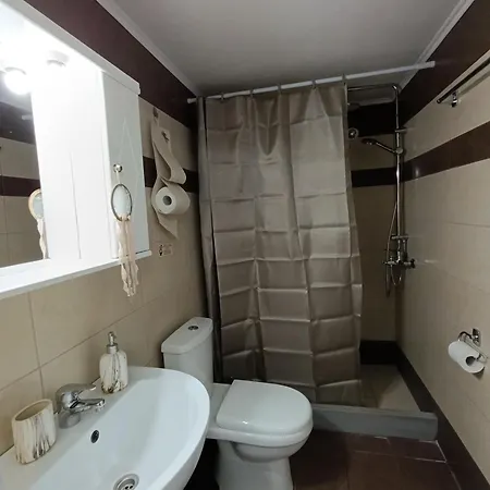 アパート Irene' S Paradise スコペロス