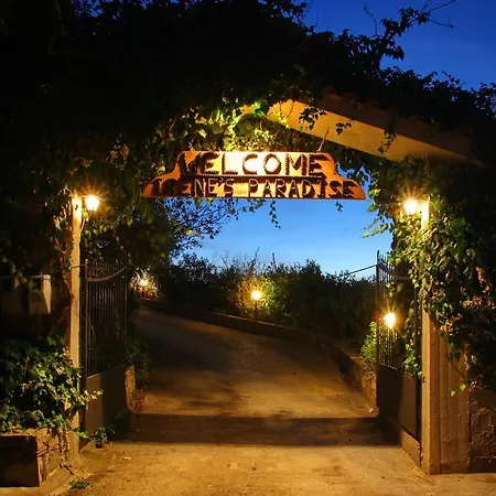 アパート Irene' S Paradise スコペロス