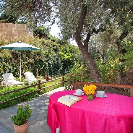 アパート Irene' S Paradise スコペロス